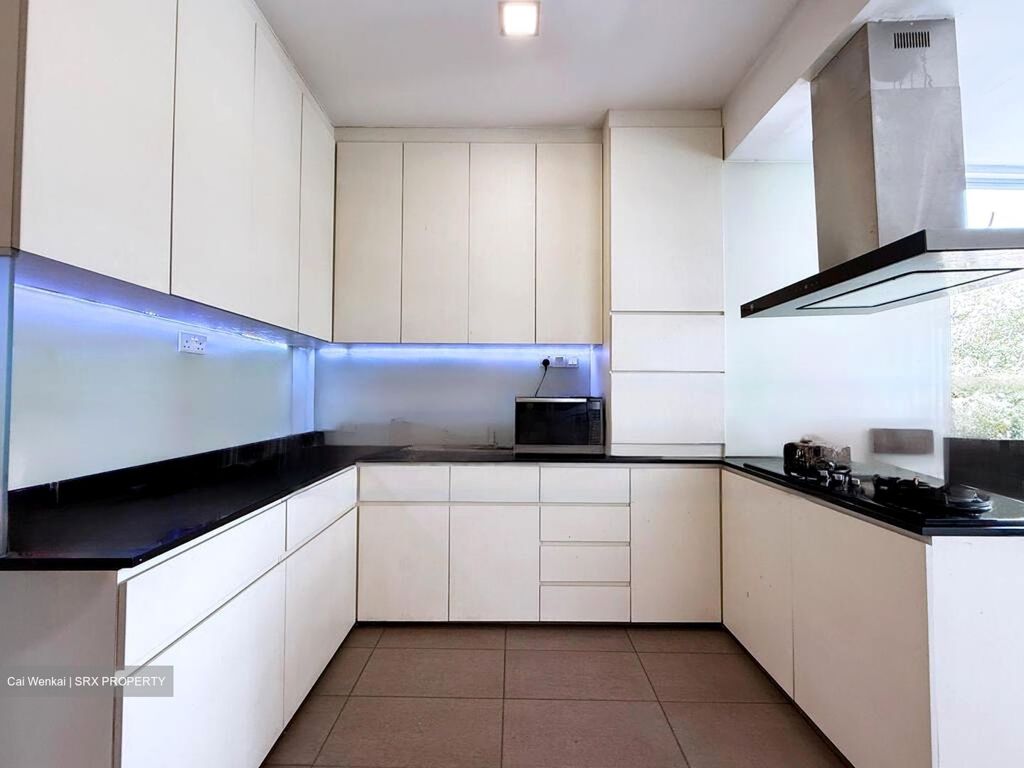 Thomson Grove (D26), Condominium #462964741